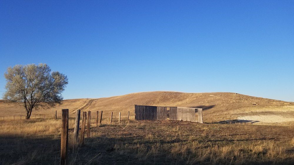 Montana Dream Property With Unlimited Options on 48+ Acres In Sidney: 12353 County Rd 348, Sidney, MT 59270